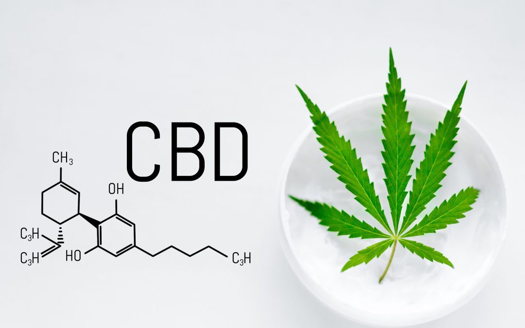 Compelling Reasons to Use a CBD Salve in San Diego for Healing