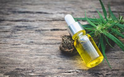 Personalized Guidance at a Cannabis Dispensary in Ypsilanti MI