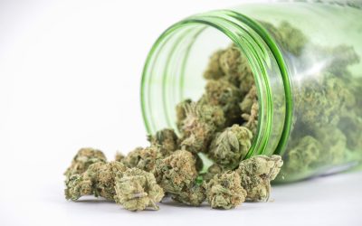 What to Expect When Visiting a Medical Marijuana in Store Biloxi MS for the First Time